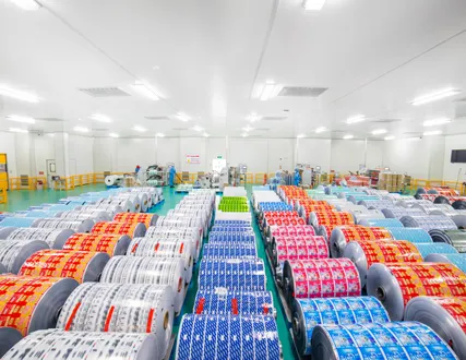 The annual production capacity of 15,000 tons is sufficient to meet the customer's order requirements.