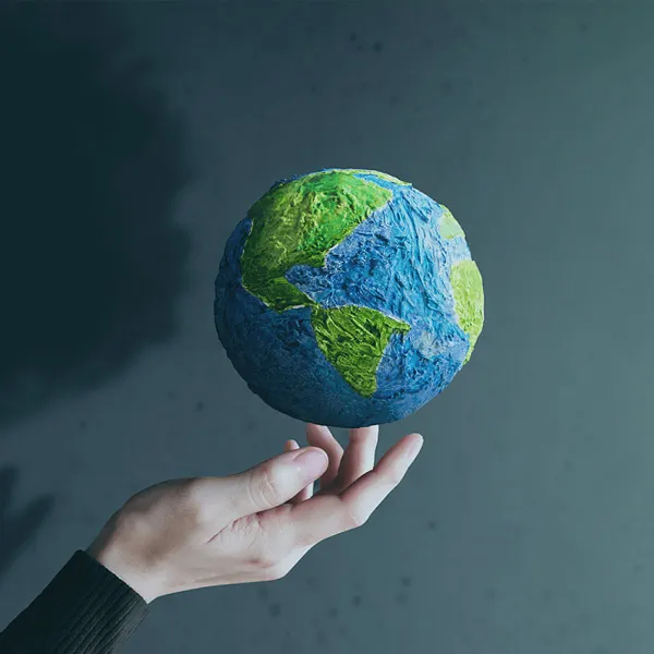 软包装袋的常见问题